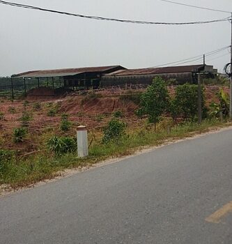 Cần bán đất tại Hạ Hòa, Thanh Sơn, Cẩm Khê – Phú Thọ