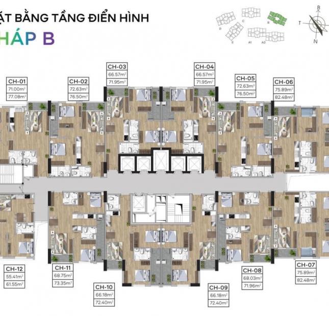  Chủ Đầu Tư Tecco Thái Nguyên mở bán tòa B đẹp nhất dự án có bể bơi vô cực