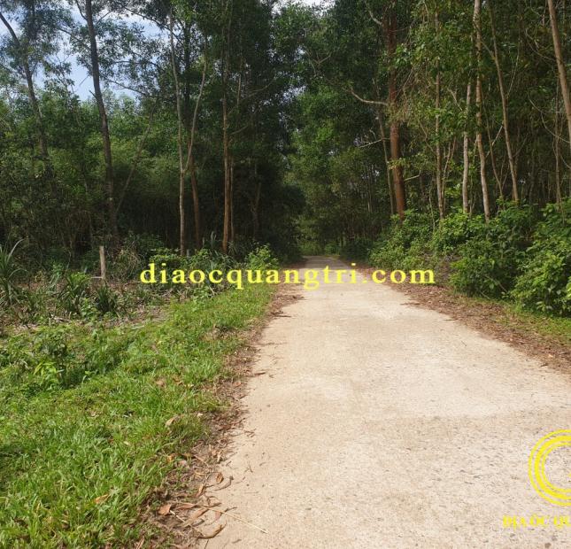 Đất Thanh An Cam Lộ Quảng Trị Gần Ngã Tư Sòng Giá Đầu Tư