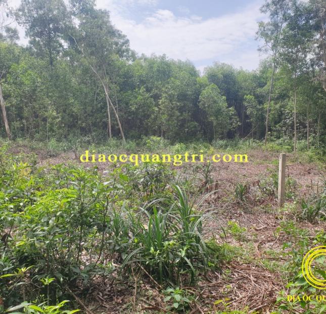 Đất Thanh An Cam Lộ Quảng Trị Gần Ngã Tư Sòng Giá Đầu Tư