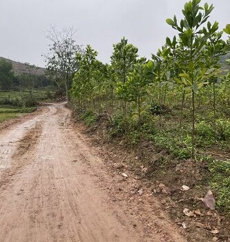 Cần tiền làm ăn Em muốn bán nhanh lô Đất Phổ Yên – Thái Nguyên