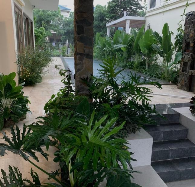 Duy nhất 1căn Biệt thự Đơn lập trong làng Senturia Vườn Lài p. An Phú Đông, có hồ bơi nước mặn, hồ ca Koi, nội thất ngoại nhập, đẳng cấp thời thượng.