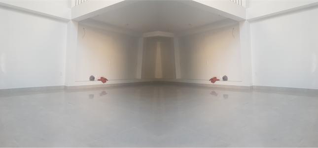 Cho thuê mặt bằng 1 trệt 1 lầu đường Nam Kỳ Khởi Nghĩa, Vũng Tàu