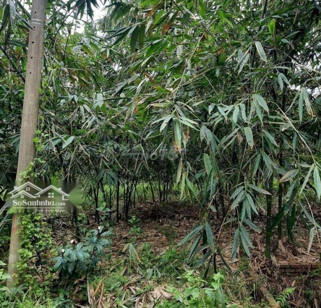 CHÍNH CHỦ CẦN BÁN GẤP LÔ ĐẤT VỊ TRÍ TIỀM NĂNG PHÁT TRIỂN SINH LỜI TẠI TRỪ VĂN THỐ, HUYỆN BÀU BÀNG,