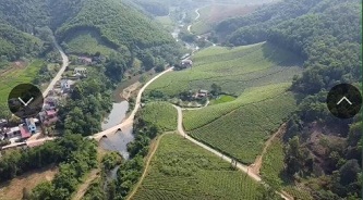 Cần bán 200 ha rừng tại Tân Sơn, Tỉnh Phú Thọ