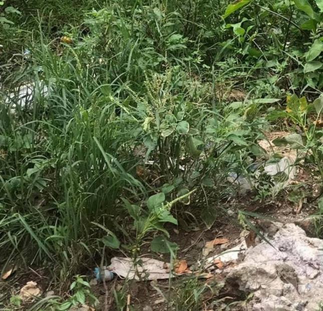 Mảnh đất đẹp Nguyên Xá, lô góc, 3 thoáng ngõ thông