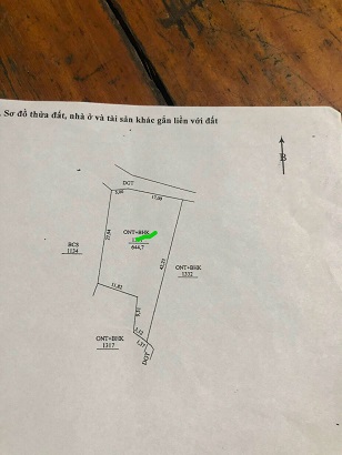 CHÍNH CHỦ CẦN BÁN ĐẤT TẠI HUYỆN QUẢNG TRẠCH, TỈNH QUẢNG BÌNH