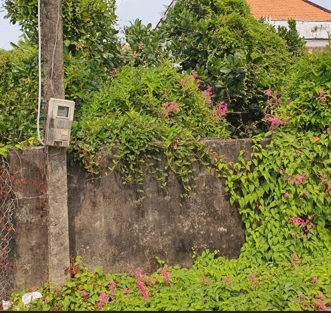 CHÍNH CHỦ CẦN BÁN ĐẤT PHƯỜNG BÌNH TÂM, THÀNH PHỐ TÂN AN, LONG AN .SÁT ĐƯỜNG TRẦN VĂN HÝ