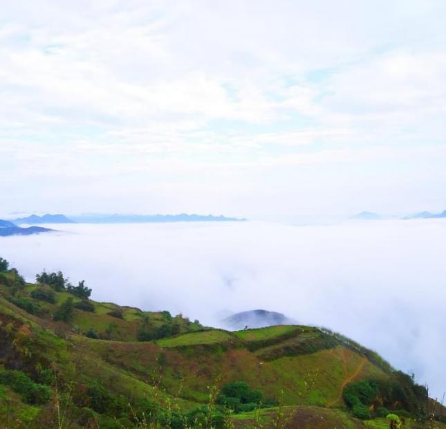 Đất Vân Hồ - Sơn La, 2400m, 35m mặt đường nhựa, view săn mây cực chill.