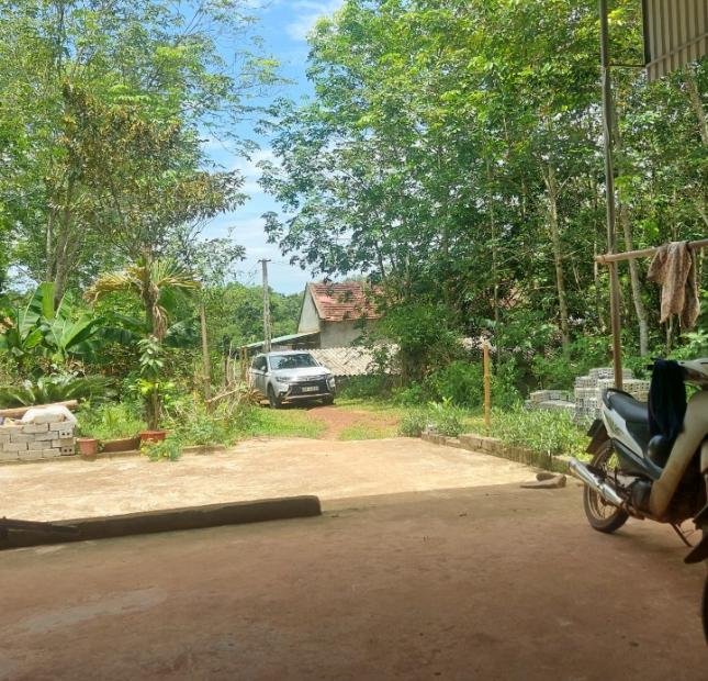 Gia đình cần bán nhanh 2 lô đất liền kề gần 9000m phun thổ cư 100% tại Thọ Xuân, Thanh Hóa