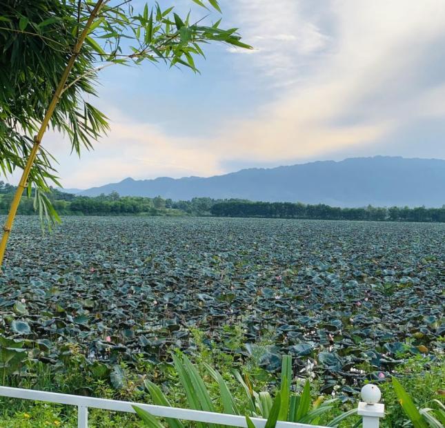 CHÍNH CHỦ bán căn BT 1 tầng 2PN Vườn Vua Resort & Villa, Dt 268m2 giá 4.5 tỷ