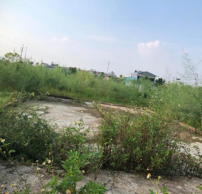 Mảnh đất dịch vụ 3.74ha Di Trạch, phân lô vỉa hè, ô tô tránh, gần đường 3.5