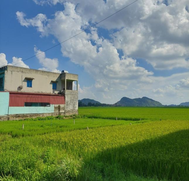 CHÍNH CHỦ CẦN RA NHANH LÔ ĐẤT VỊ TRÍ TRUNG TÂM QL217 VĨNH YÊN, VĨNH LỘC, THANH HÓA