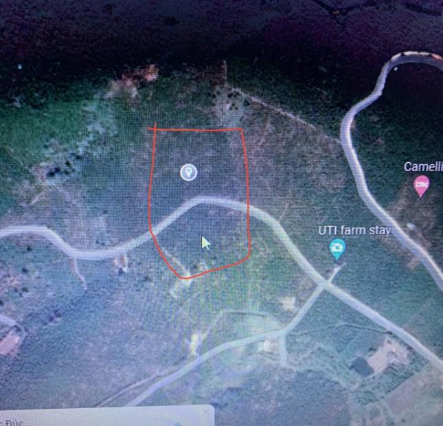 Chính chủ cần bán hơn 2,2ha đất view hồ Daklong Thượng, đất chưa qua đầu tư