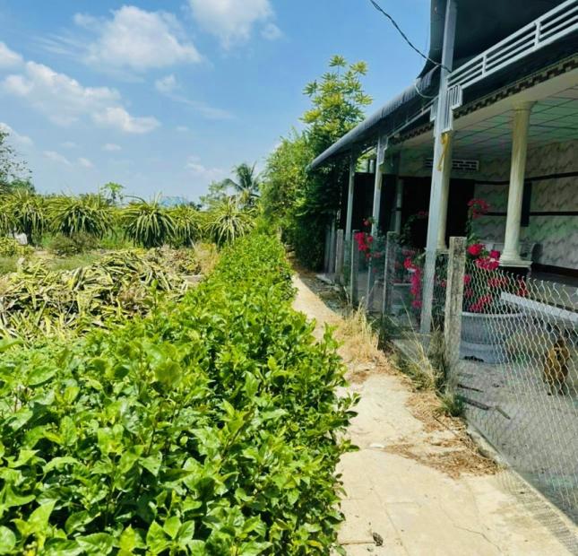 Chính chủ bán đất thổ cư sổ hồng lô góc 2 đường BT chưa qua đầu tư làm nhà vườn thoải mái