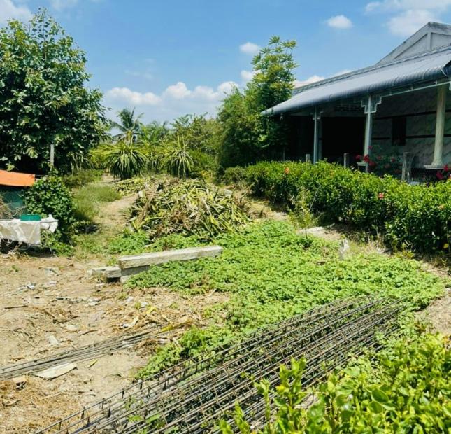Chính chủ bán đất thổ cư sổ hồng lô góc 2 đường BT chưa qua đầu tư làm nhà vườn thoải mái
