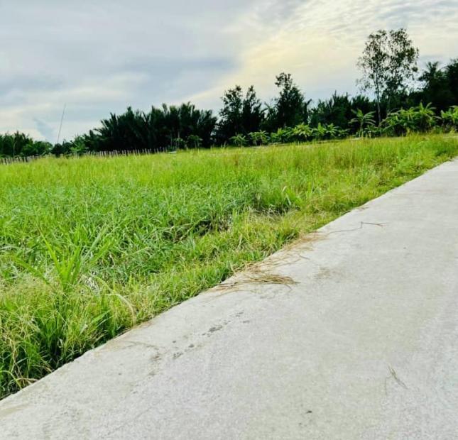 TÌM NHÀ ĐẦU TƯ,SỈ,LẺ CHO CÁC SÀN PHÂN PHỐI BẤT ĐỘNG SẢN