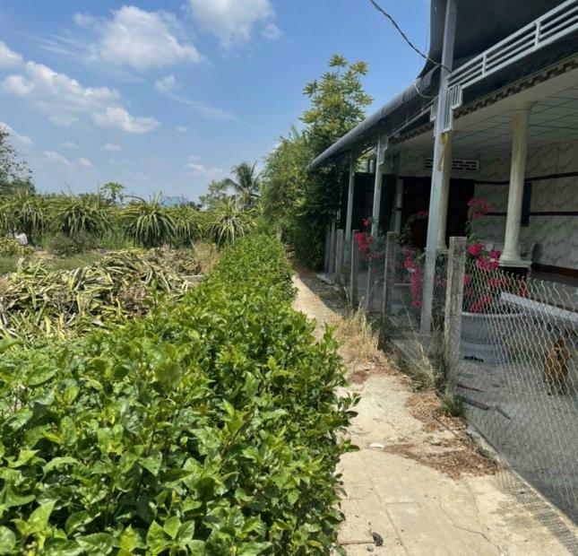 109m2 đất thổ phước tân hưng châu thành long an chỉ 380tr