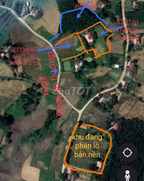 Chính chủ cần bán nhà đất vườn Xã Thọ Sơn, Huyện Triệu Sơn, Thanh Hóa