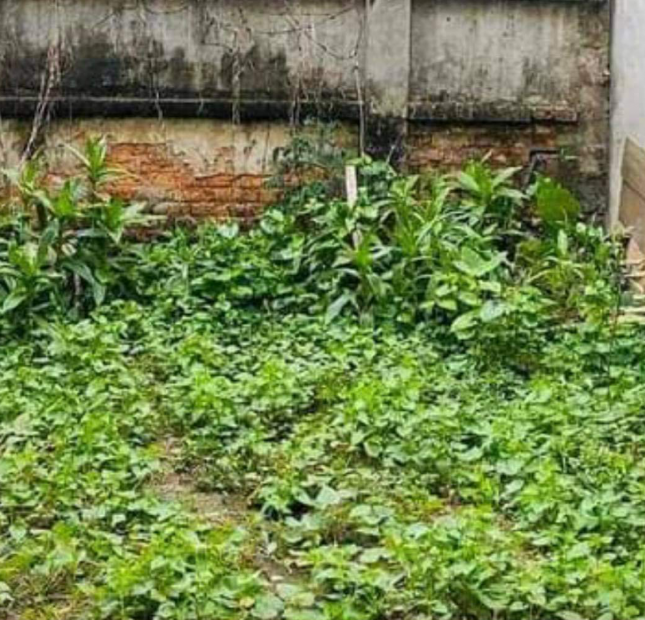 Xuân Phương, mảnh đất còn sót lại, mặt ngõ thông, ô tô, kinh doanh