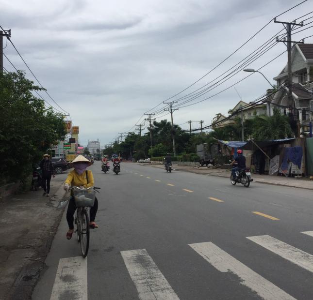 [H.BÌNH CHÁNH] Chỉ cần 130 tỷ sở hữu đất (SXKD) MT trần đại nghĩa – X.lê minh xuân - DT: 5000m². 