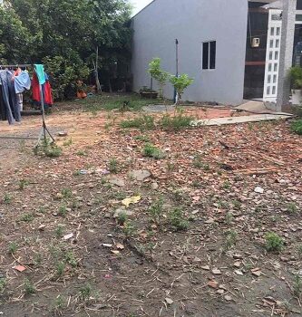Cần bán đất Khu quy hoạch chung cư tại Đường Nguyễn Kim Cương, Xã Tân Thạnh Tây, Huyện Củ Chi, TP