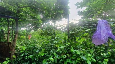 Bán gấp mảnh đất hiếm rẻ Thanh Xuân 100m MT 7m sổ đỏ đẹp chỉ hơn 7.6 tỷ chút.