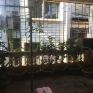 Chính chủ bán nhà tại ngõ 130 Phố Trần Tử Bình, Phường Nghĩa Tân, Cầu Giấy, Hà Nội