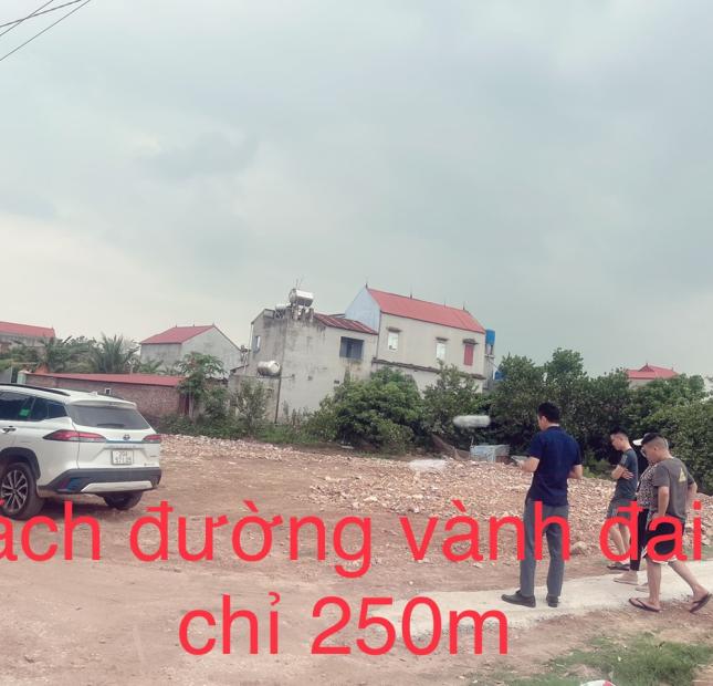 Cần tiền, Bán Gấp Lô Đất 158m2 tại Yên Sơn, Lục Nam , Giá 1,5 tỷ