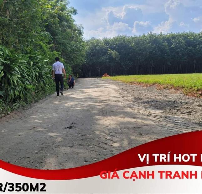 HOT! HOT BẠN CÓ TIN CHỈ CẦN TRẢ TRƯỚC 779TR BẠN CÓ THỂ MUA ĐƯỢC ĐẤT ĐẸP TẠI KHU TÁI ĐỊNH CƯ CỤM