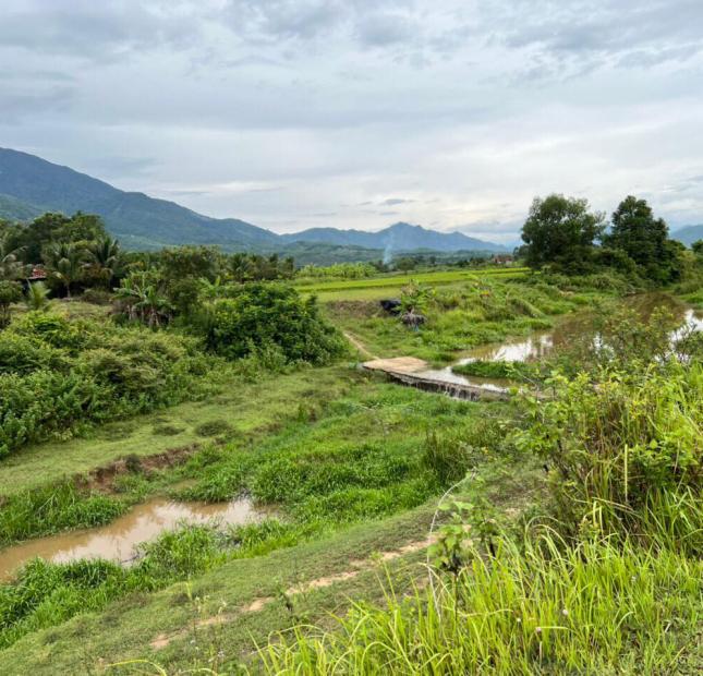 bán mảnh đất vườn cách tỉnh Lộ 5 chỉ 700m Ninh Hưng Ninh Hoà lh 0962130297 H.Hưng
