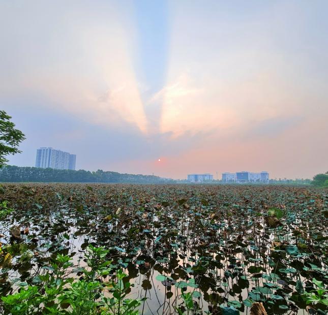 200922 Đất phố kinh doanh 72m2, mặt tiền gần 8m ngay tại trung tâm Trâu Quỳ, Gia Lâm. Lh