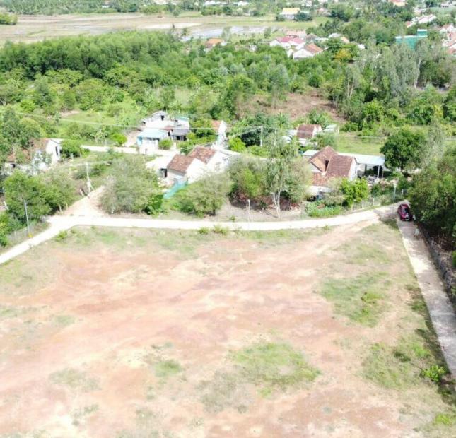 bán lô đất cách tl7 chỉ 50m giá chỉ 480tr đường lớn Ninh Sơn  Ninh Hoà lh 0962130297 H Hưng