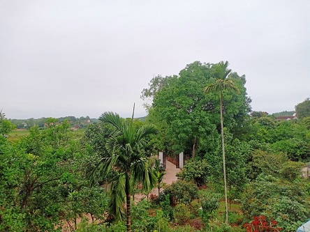 Nhà em chính chủ bán mảnh 1399m vườn CLN, có 250 thổ cư tại Tân Thanh, Lạng Giang, Bắc Giang.