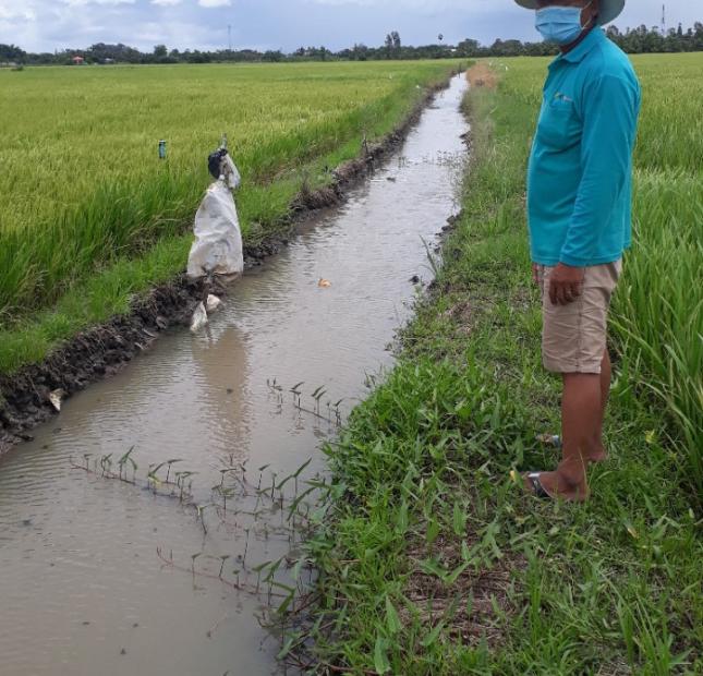 Cần bán đất vị trí đẹp tại An Giang