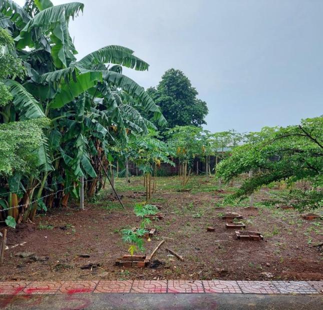 CHÍNH CHỦ BÁN ĐẤT ĐẸP NGAY KCN BÀU XÉO, TÂY HOÀ, TRẢNG BOM, ĐỒNG NAI.