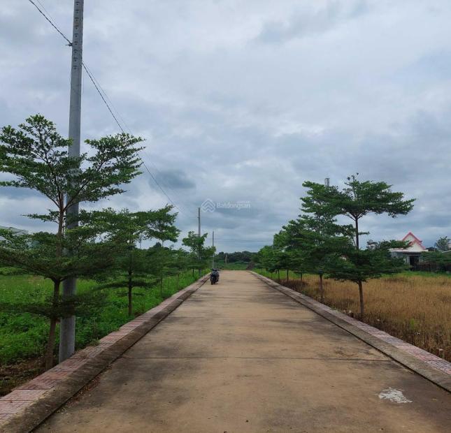 CHÍNH CHỦ BÁN ĐẤT ĐẸP NGAY KCN BÀU XÉO, TÂY HOÀ, TRẢNG BOM, ĐỒNG NAI.