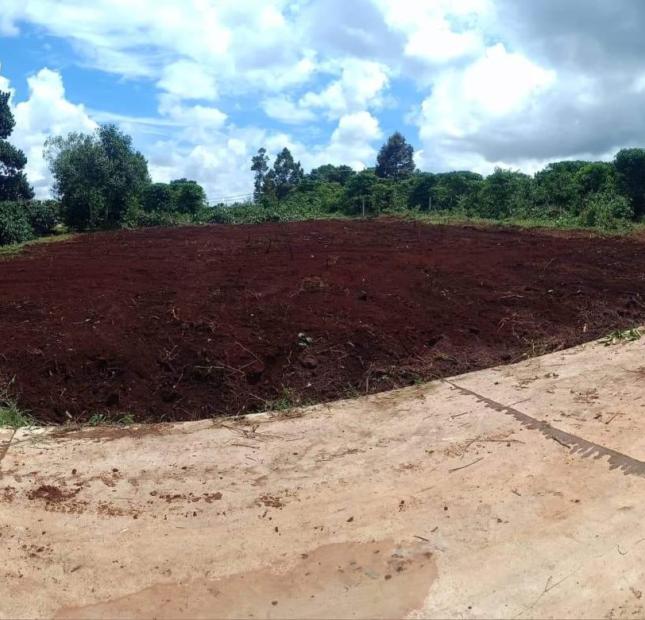 Chính chủ cần bán đất vị trí đẹp tại tỉnh Gia Lai