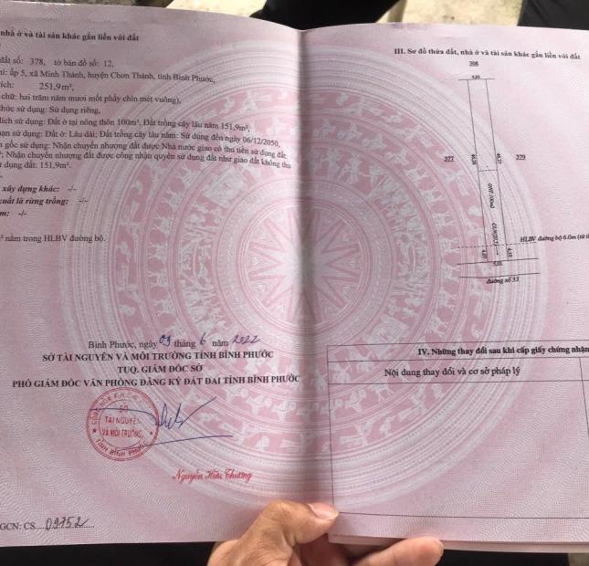 CHÍNH CHỦ BÁN ĐẤT TẠI ẤP 5, XÃ MINH THÀNH, HUYỆN CHƠN THÀNH, TỈNH BÌNH PHƯỚC. ĐƯỜNG NHỰA 8M THÔNG