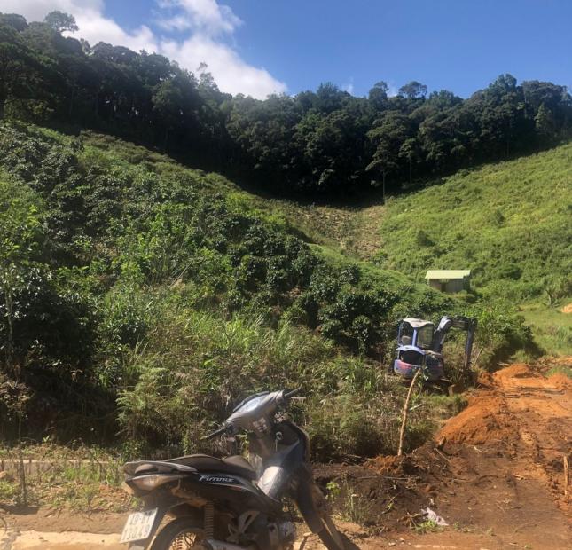 300M2 ĐẤT DU LỊCH TẠI LONG LANH - ĐẠ CHAIS - LẠC DƯƠNG - HO300M2