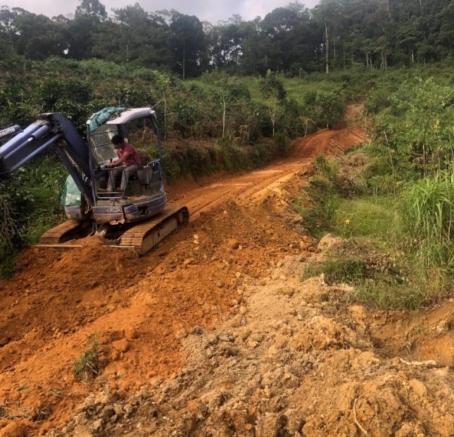 300M2 ĐẤT DU LỊCH TẠI LONG LANH - ĐẠ CHAIS - LẠC DƯƠNG - HO300M2