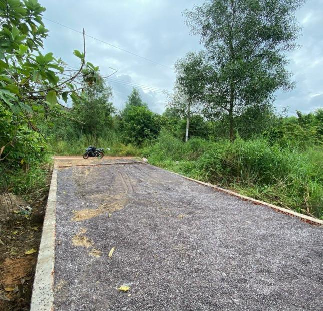 LÔ C DT NHỎ CHỈ 55M2 MÀ ĐẤT TRỒNG CÂY . BÁN LÔ PHƯỚC TÂN, TP BIÊN HOÀ, ĐỒNG NAI