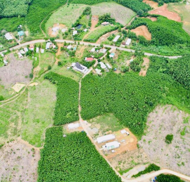 CẦN BÁN 2 LÔ LIỀN KỀ TẠI XÃ KHÁNH BÌNH HUYỆN KHÁNH VĨNH, KHÁNH HOÀ