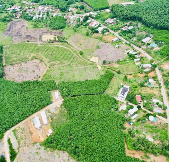 CẦN BÁN 2 LÔ LIỀN KỀ TẠI XÃ KHÁNH BÌNH HUYỆN KHÁNH VĨNH, KHÁNH HOÀ