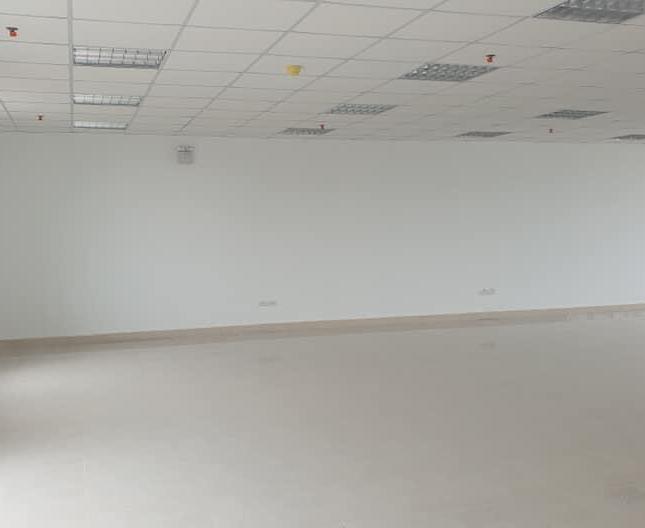 Cho thuê văn phòng tòa D2 Giảng Võ, Đống Đa 170m2, 250m2 giá thuê 320 nghìn/m2