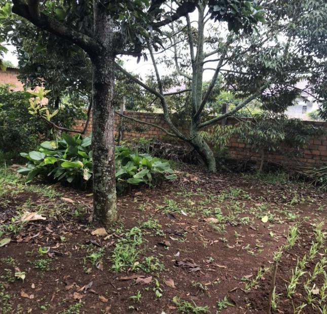 CHÍNH CHỦ CẦN BÁN HƠN 2 SÀO ĐẤT SAU LƯNG TRẠM Y TẾ XÃ LIÊN HIỆP, ĐỨC TRỌNG. LIÊN HỆ: 0917038853