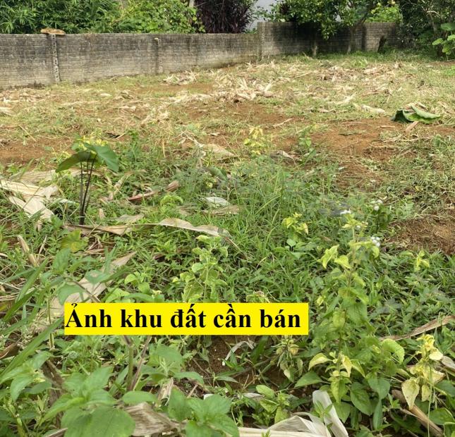 Chính chủ cần BÁN NHÀ VÀ ĐẤT tại Ngõ 1218, Tổ 9, Thị trấn Việt Quang, Bắc Quang, Hà Giang 0838581977.
