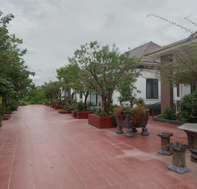 Cho thuê nhà biệt thự mili tại An Đồng An Dương 100m2 lh 0988658043