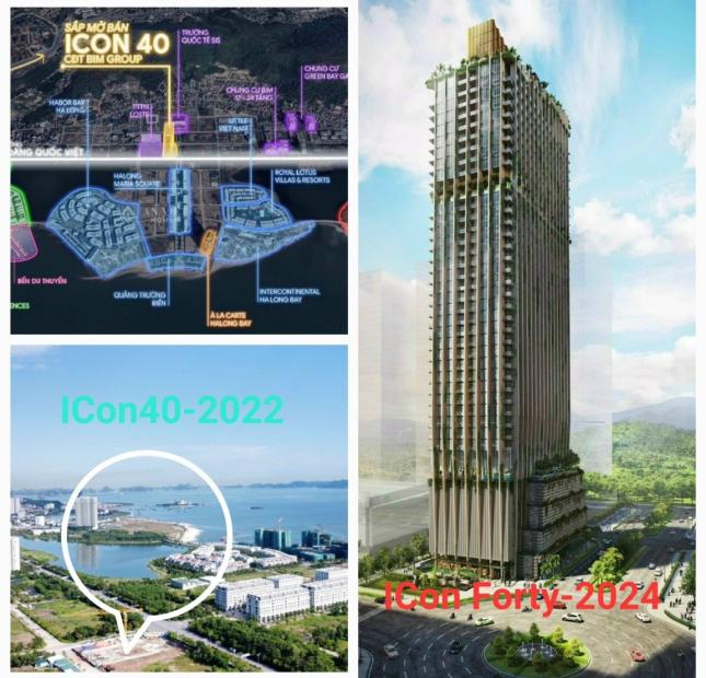 Đầu tư căn hộ view biển dự án Icon 40  Hạ Long khai thác cho thuê cực kỳ tốt