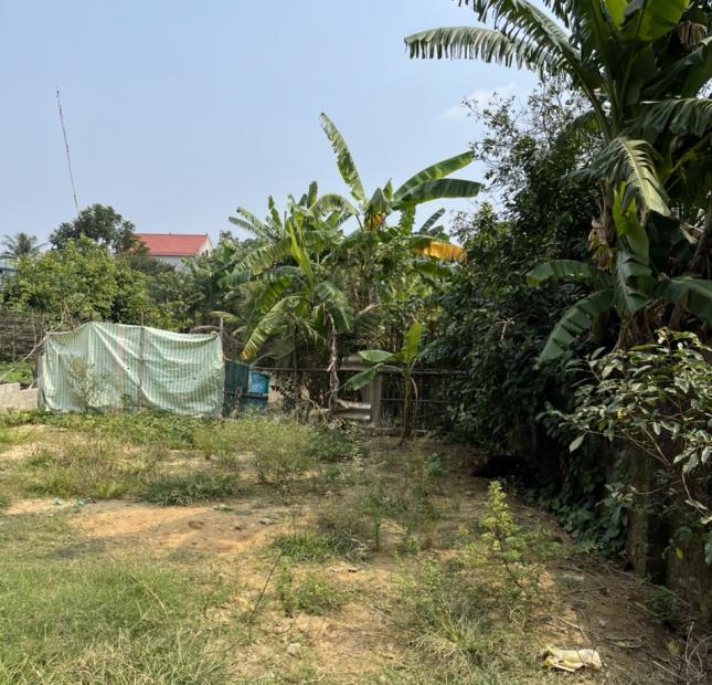 Bán lô đất tại TDP Kiều Đại, phường Quảng Châu, TP Sầm Sơn, Thanh Hoá